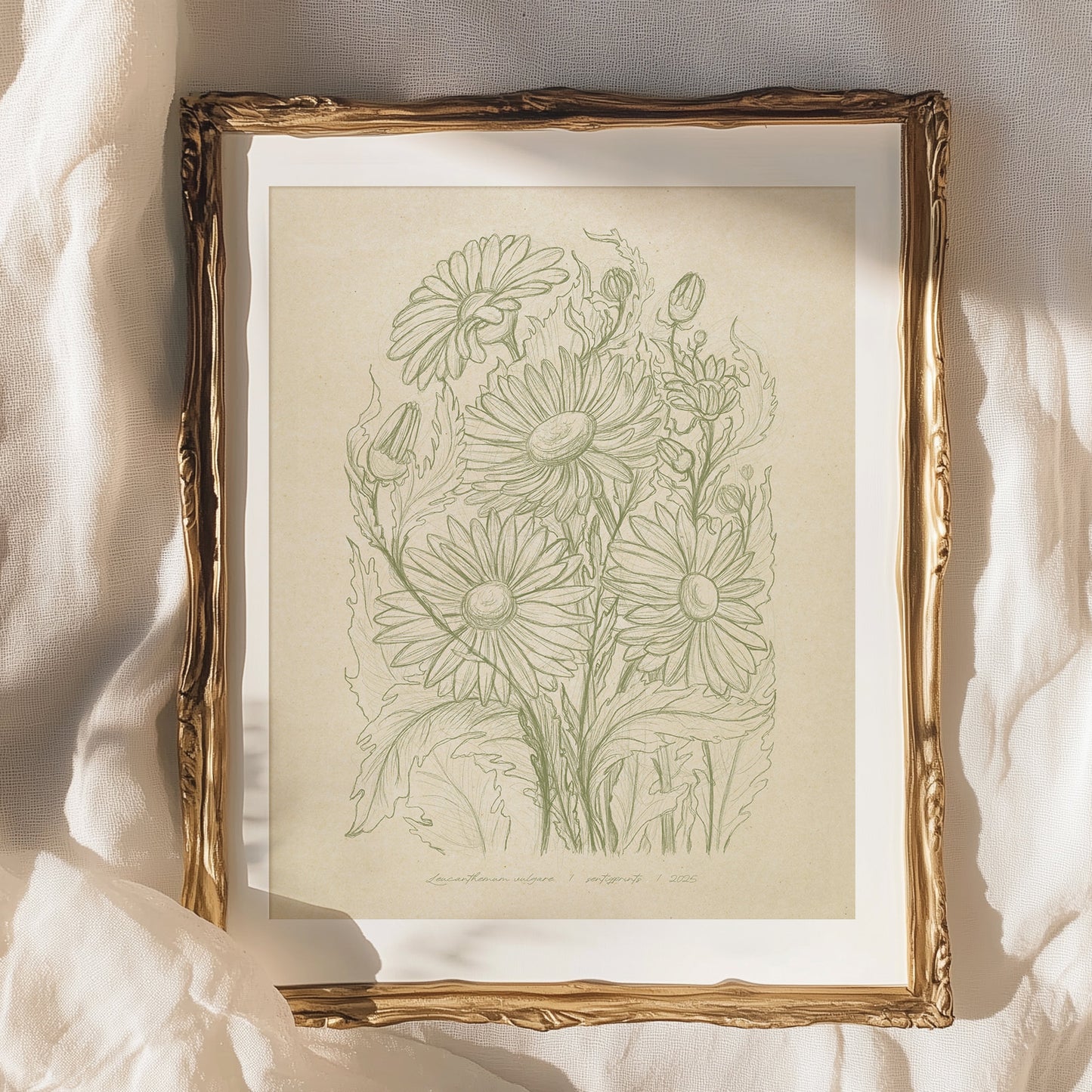 Antique hand drawn Daisy flowers Printable wall art Digital poster sketch, wall hanging, line prints, Vintage art, unique wall art, trendy wall art, thank you gift boss, downloadable art, teacher appreciation gift, Summer wall art, sister in law gift, shelf decor, self gift, Sage green color, rustic artwork, Retro artwork, retirement gift, contemporary lines, digital download, realtor closing gift, plant lover gift, illustration, green art, office wall decor, flower, bedroom, nurse gift, niece gift