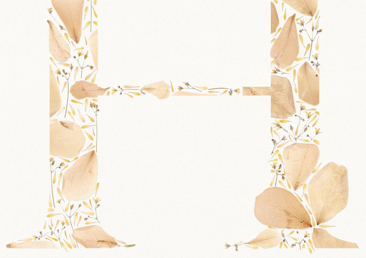 Beige personalized name letter prints Pressed wildflower and roses petals poster