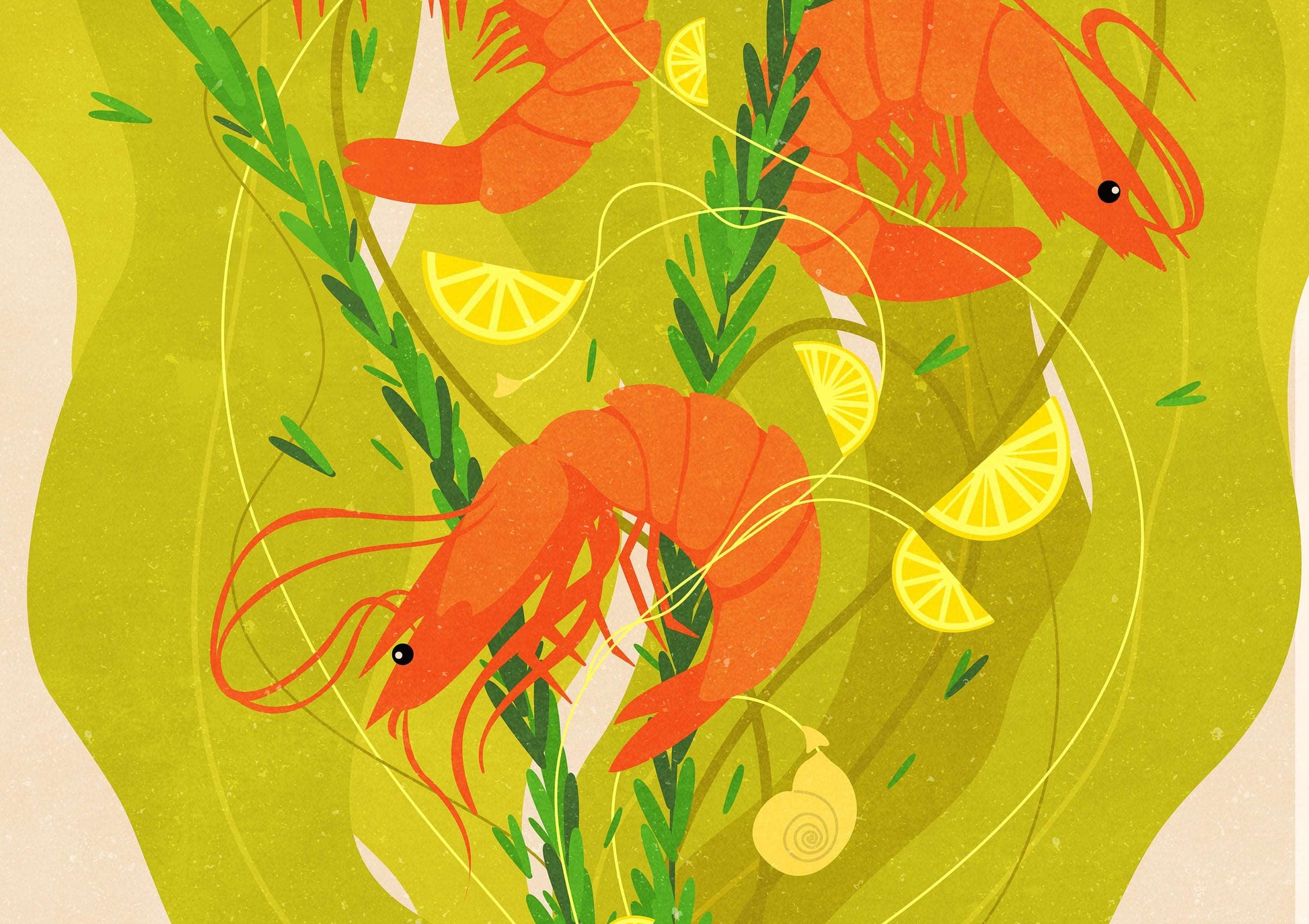 Details Botanical vintage shrimp poster Printable wall art