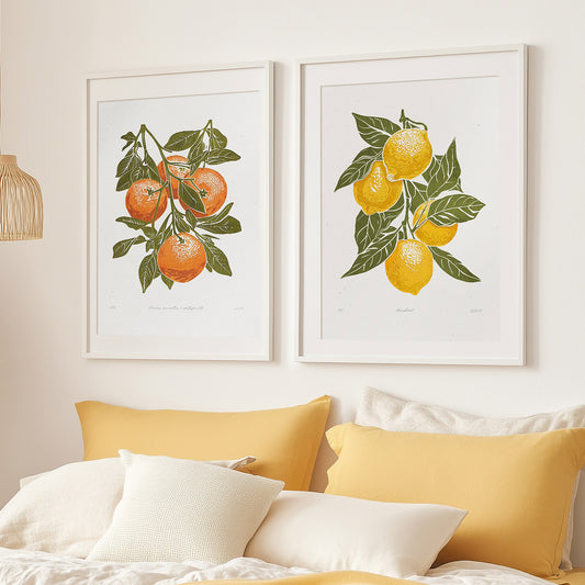 Gallery wall set of 2 Sage green oranges and lemons fruits «Sagren Lemona» Printable linocut wall art posters printable wall art, digital poster, digital download, digital product, downloadable art, large linocut prints, wall hanging, unique wall art, gallery wall set, antique illustration, mid century modern, illustration art, farmhouse wall decor, floral prints, botanical wall art, rustic wall art, nature wall art, neutral wall art
cottagecore wall art / cottage core, foraged wall art