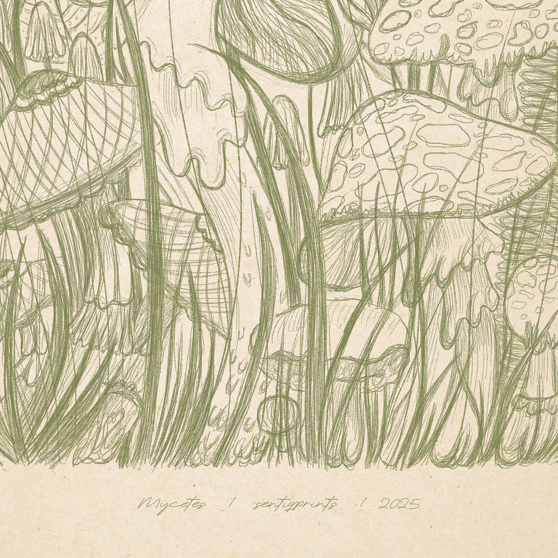 Antique Mushrooms Plant Lines Sketch Sage Green Cottagecore Prints Printable Wall Art Decor Hostess Thanksgiving Gift Digital Poster
new grandma gift, new apartment housewarming gift, new apartment gift, nature wall ar, nature lover gift, mothers day gift ideas, retro, mothers day gift from daughter, mothers day gift, mother in law gift, mom birthday gift, Modern kitchen art, long distance gift, living room wall art minimalist, Living room wall art, wall hanging, laundry room decor, kitchen wall art