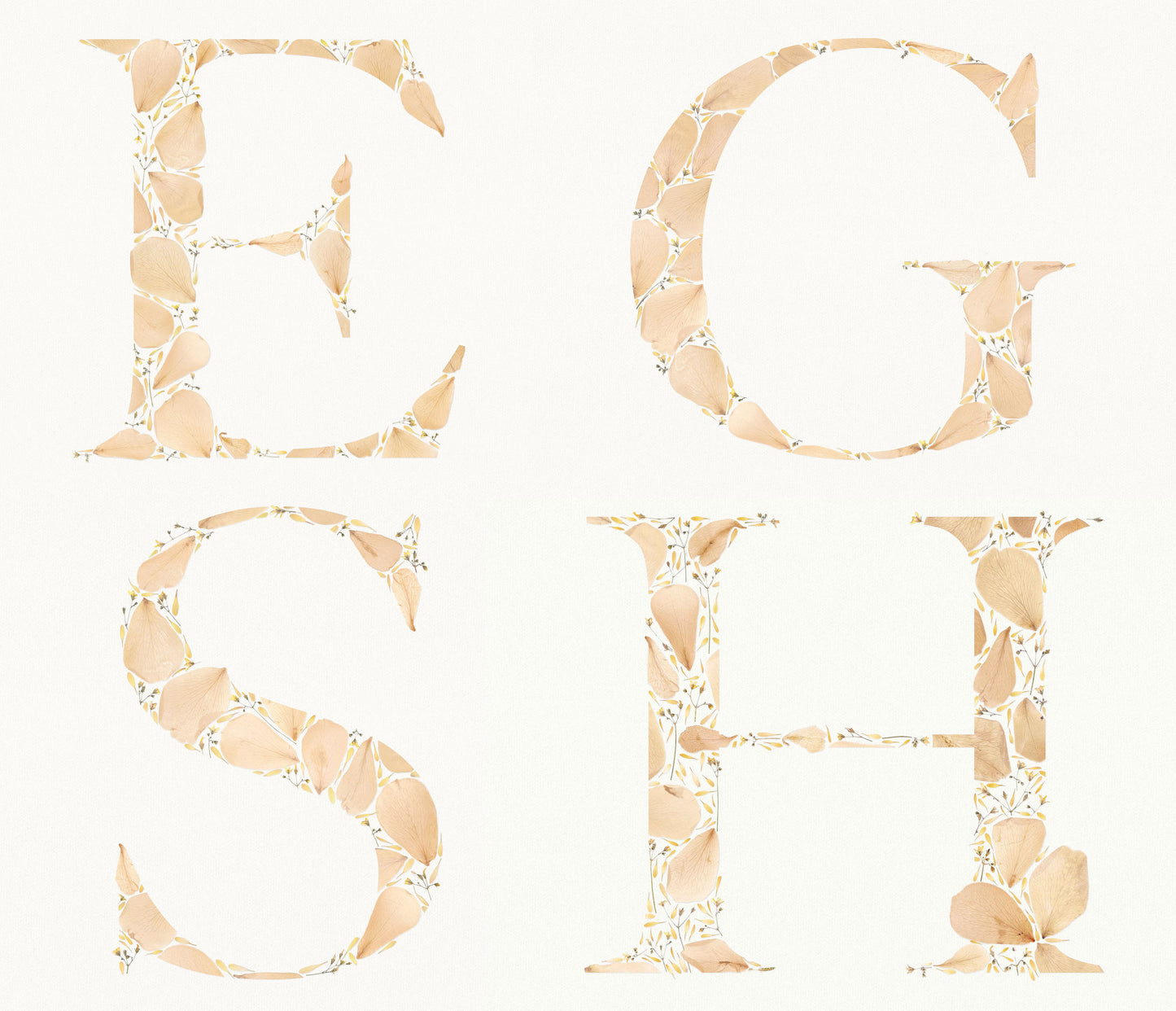 Beige personalized name letter prints Pressed wildflower and roses petals poster