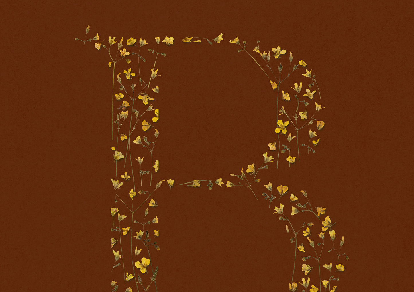 Terracotta personalized name letter prints Pressed yellow wildflowers poster