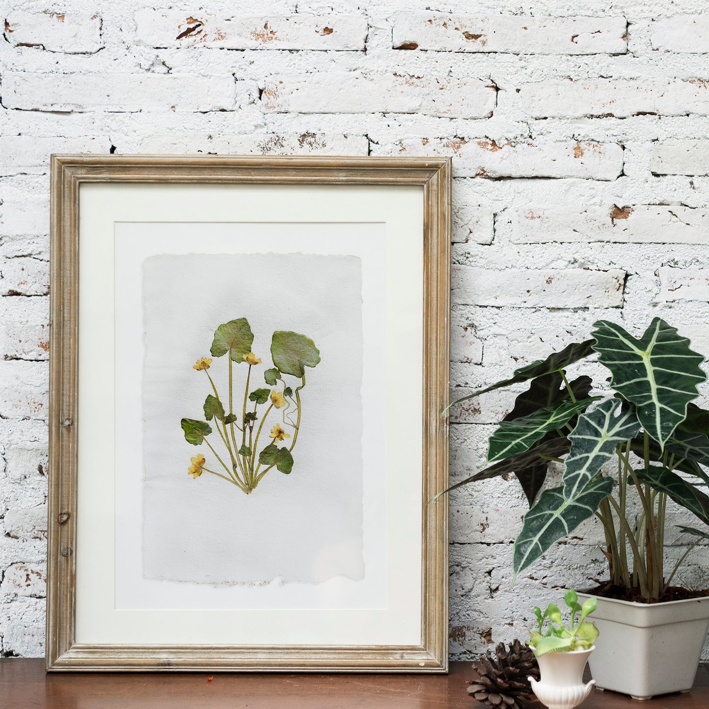 "Ficaria verna" Herbarium Yellow and green dried flower Original artwork Recycled paper UNFRAMED Pressed flowers One of a kind Bedroom Living room Farmhouse kitchen Cottagecore wall art Foraged Vintage Retro home decor Housewife Mother Gift Nature Plant lover gift