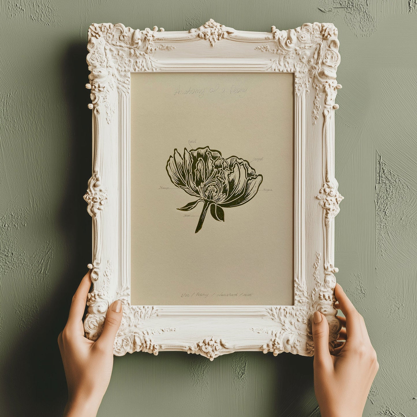 Vintage Anatomy Peony Flower Linocut Print Sage Green Botanical Original Artwork Chateaucore Bedroom Wall Art Decor Educational Nature Gift
one of a kind office wall decor nurse gift niece gift from aunt new mom gift new job gift New home gift new grandma gift new apartment housewarming gift new apartment gift nature print nature lover gift mothers day gift ideas mothers day gift from daughter mothers day gift mother in law gift mom birthday gift Modern kitchen art Mid century modern long distance gift