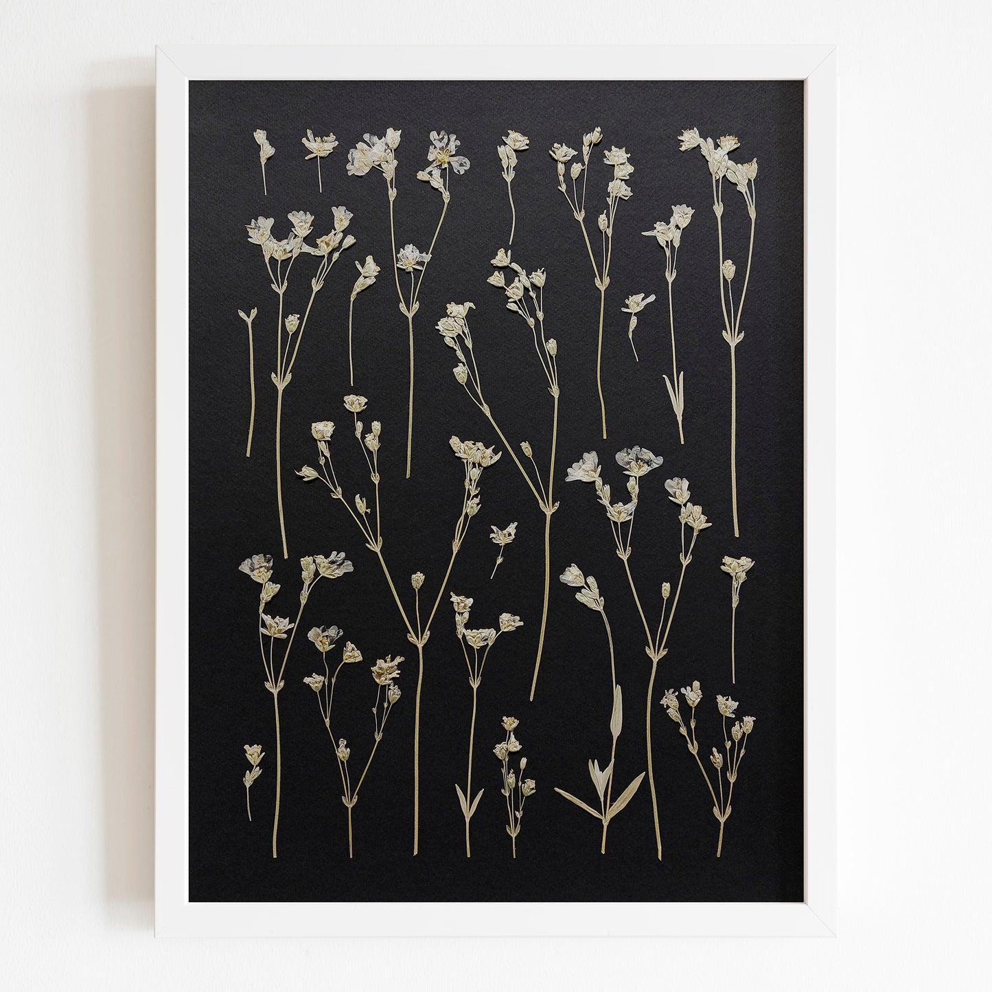 Black paper Dried wildflowers Original artwork Cottagecore wall decor UNFRAMED wall hanging, unique wall art, trendy wall art, thank you gift boss, teacher appreciation gift, Spring wall art, sister in law gift, shelf decor, self gift, rustic wall art, retirement gift, realtor closing gift, pressed plants art, pressed leaves art, Pressed flower art, Plant print, plant lover gift, original artwork, one of a kind, nurse gift, niece gift from aunt, new mom gift, new job gift, New home gift, new grandma gift