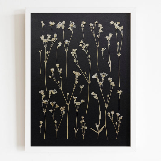 Black paper Dried wildflowers Original artwork Cottagecore wall decor UNFRAMED wall hanging, unique wall art, trendy wall art, thank you gift boss, teacher appreciation gift, Spring wall art, sister in law gift, shelf decor, self gift, rustic wall art, retirement gift, realtor closing gift, pressed plants art, pressed leaves art, Pressed flower art, Plant print, plant lover gift, original artwork, one of a kind, nurse gift, niece gift from aunt, new mom gift, new job gift, New home gift, new grandma gift