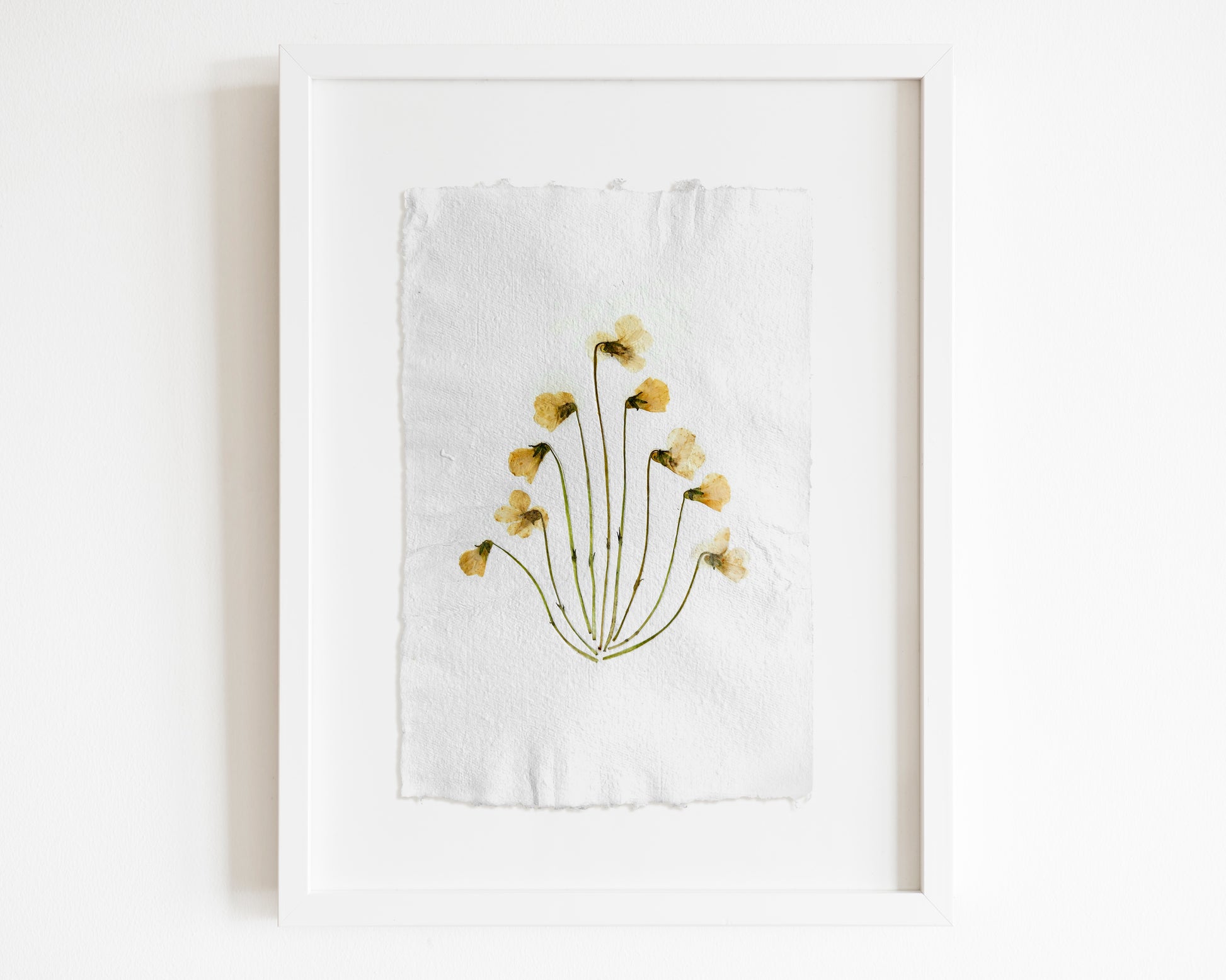Herbarium VIII White violet pressed flower and green plant Recycled paper for living room wall art UNFRAMED Modern kitchen art or bedroom
