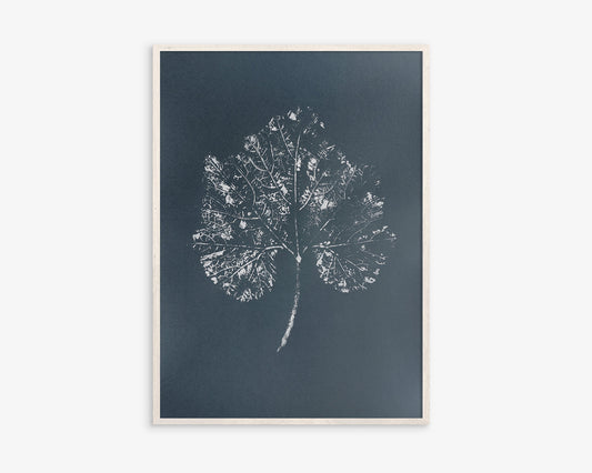 Large Modern Gray
Plant Monotype Print
White Textured Leaf
Original Artwork
Cottagecore Wall Art
Relief Decor
New Home Gift
One of a Kind
Printmaking Art
Housewarming Gift
Farmhouse Kitchen
Living Room Decor
Bedroom Minimalist