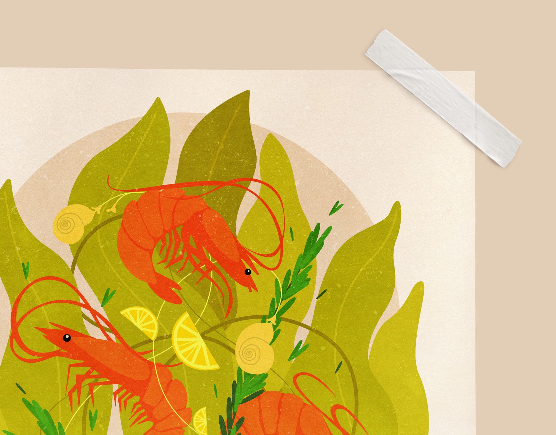 Details Botanical vintage shrimp poster Printable wall art