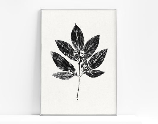 Black large monotype leaves Printable wall art Vintage classical minimalist poster Botanical prints for Farmhouse decor INSTANT DOWNLOAD Farm foraged cottagecore Bedroom Living room Kitchen Housewarming New first home gift