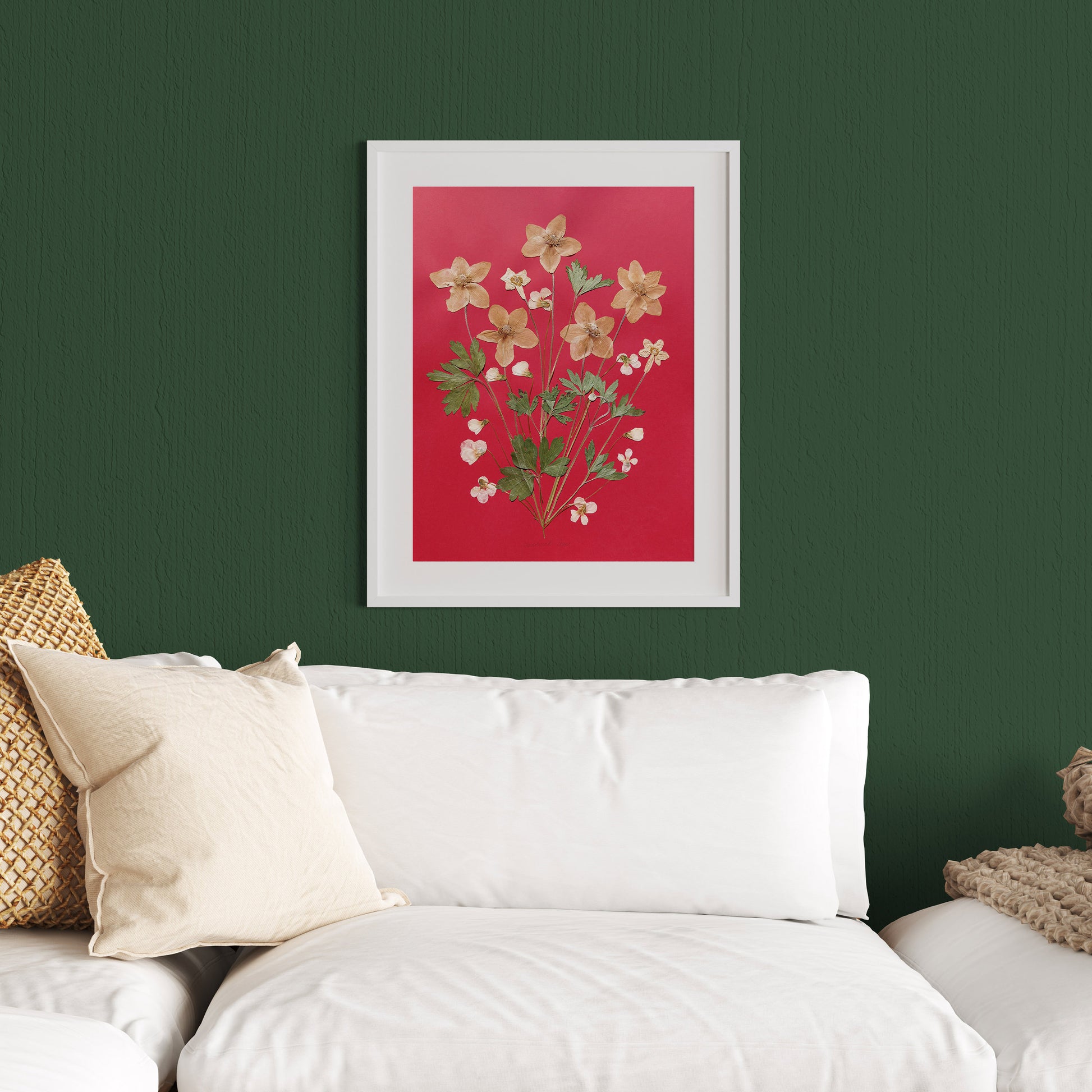 Red artwork with windflowers White violets and green dried plant for living room wall art Original pressed flower UNFRAMED botanical wall decor, living room, bedroom wall art, fjr nature lovers gift and houswarming gift, new home gift, handmade art
