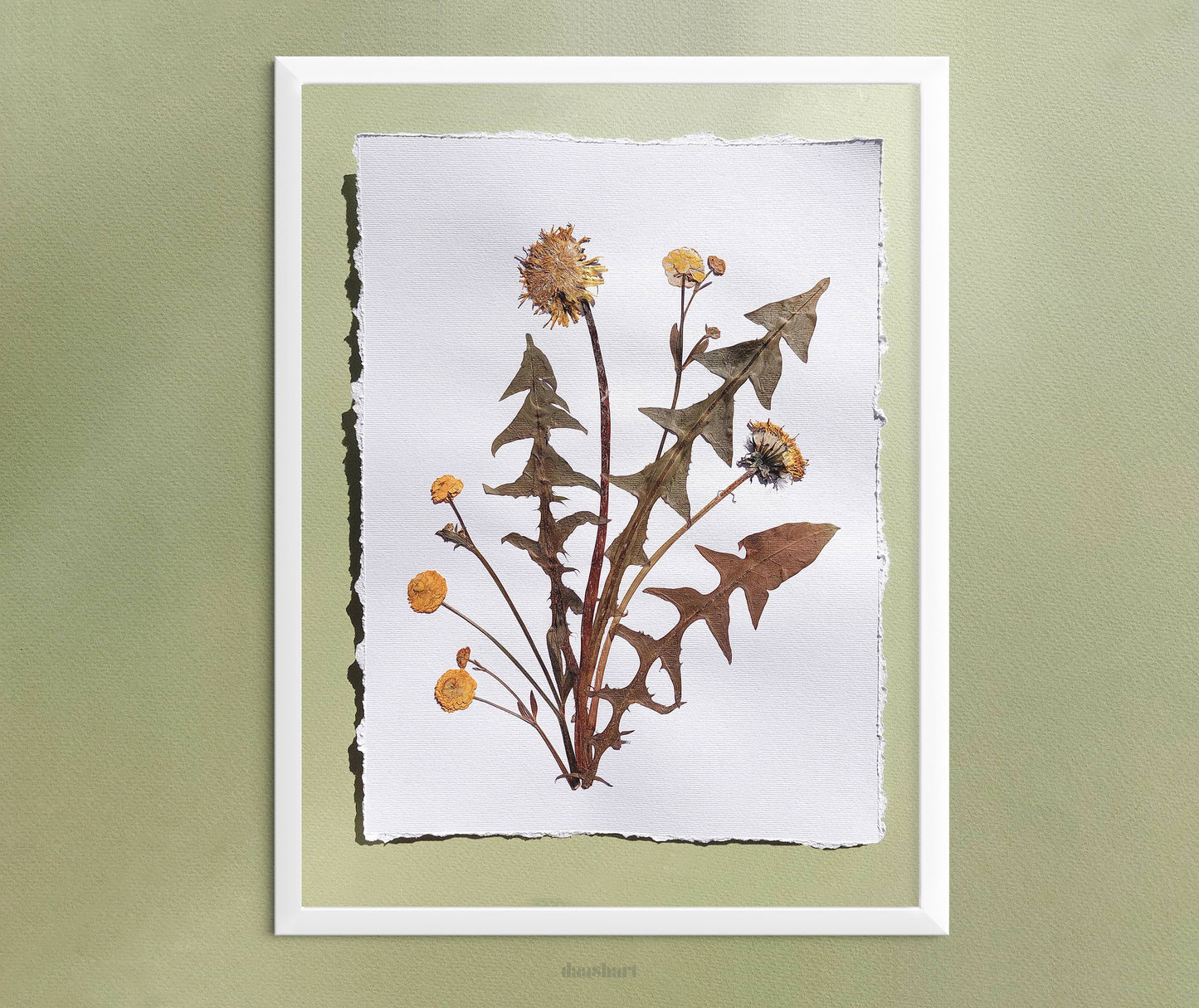  Yellow pressed flower and dandelion green plant artwork for nature lover gift UNFRAMED for living room or bedroom wall art