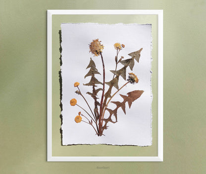  Yellow pressed flower and dandelion green plant artwork for nature lover gift UNFRAMED for living room or bedroom wall art