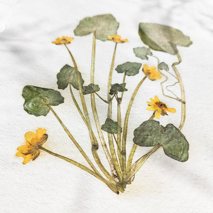 "Ficaria verna" Herbarium Yellow and green dried flower Original artwork Recycled paper UNFRAMED Pressed flowers One of a kind Bedroom Living room Farmhouse kitchen Cottagecore wall art Foraged Vintage Retro home decor Housewife Mother Gift Nature Plant lover gift 