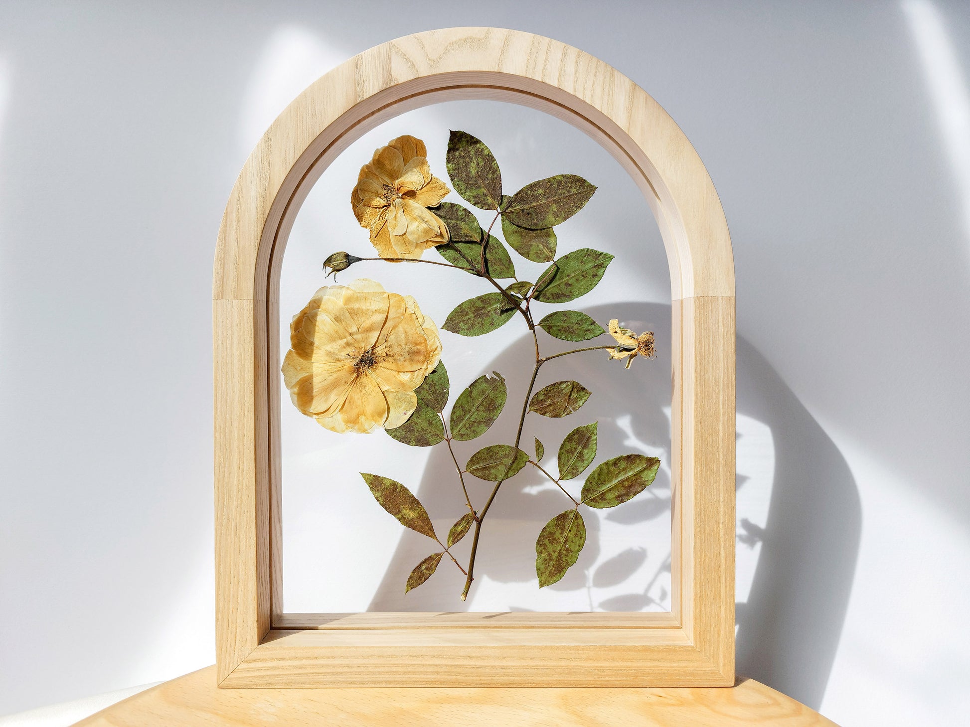 Roses pressed flower art on plexiglass with wooden arch frame for Nature lover gift for living room bedroom or kitchen and dining room