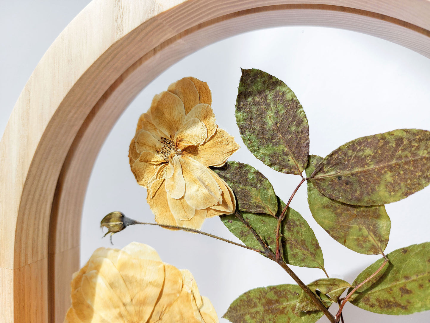 Details beige and green Roses pressed flower art on plexiglass with wooden arch frame 