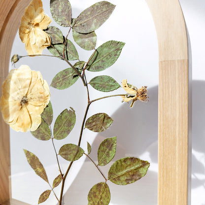 Beige roses dried flowers on Plexiglass with Wooden arch frame Plant print, plant lover gift, original artwork, one of a kind, nurse gift, niece gift from aunt, new mom gift, new job gift, New home gift, new grandma gift, new apartment housewarming gift, new apartment gift, nature wall art, Nature original art, nature lover gift, mothers day gift ideas, mothers day gift from daughter, mothers day gift, mother in law gift, mom birthday gift, Modern kitchen art, long distance gift,