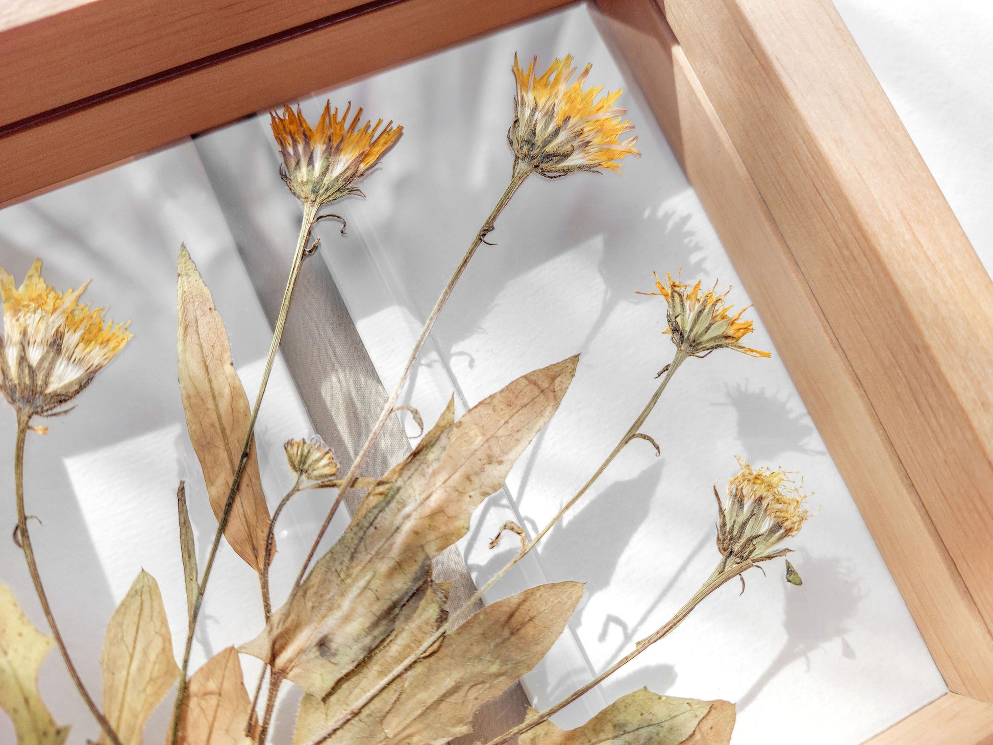 Details Real wild yellow pressed flower and plant artwork with wooden square