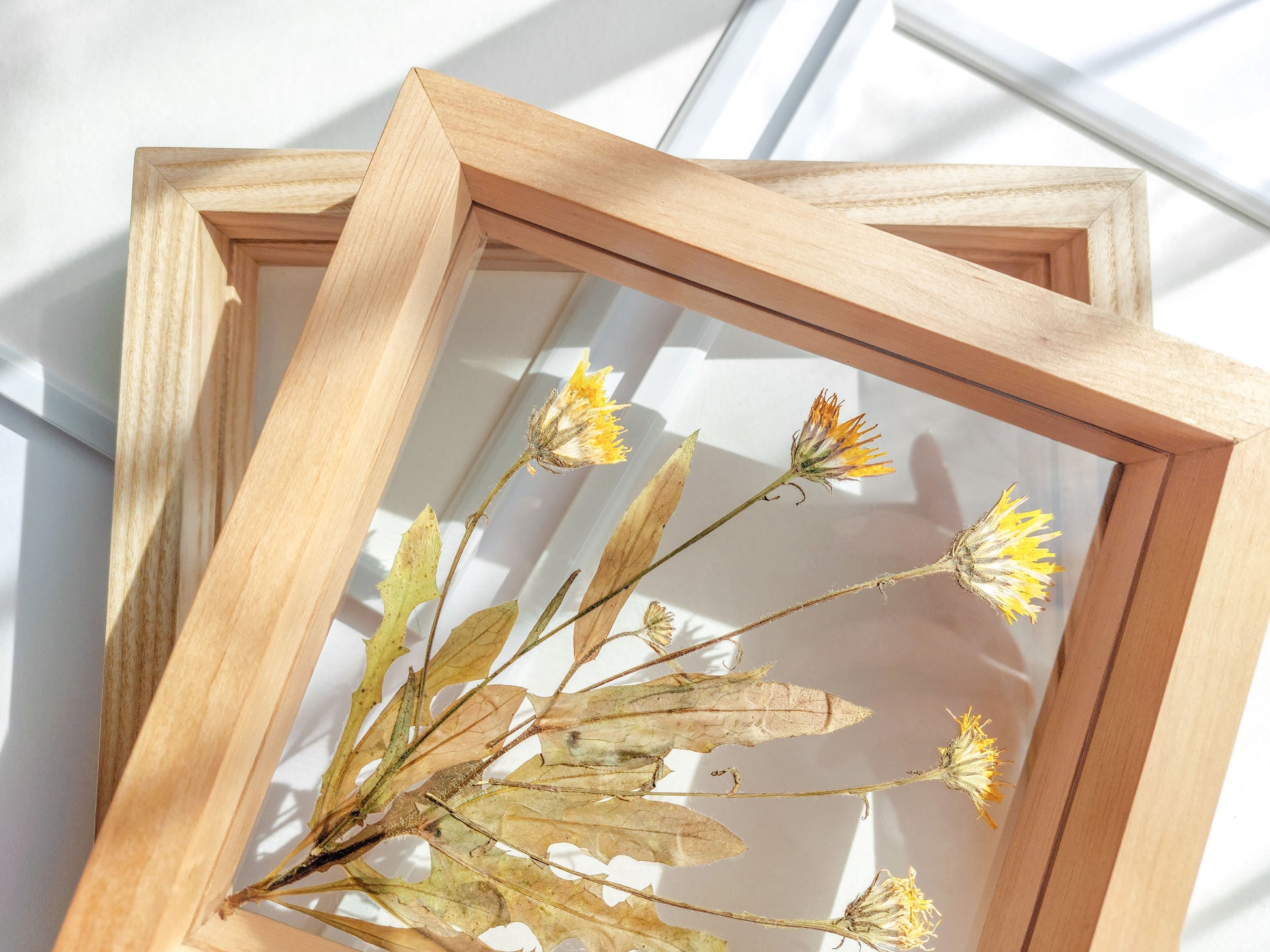 Details Real wild yellow pressed flower and plant artwork with wooden square