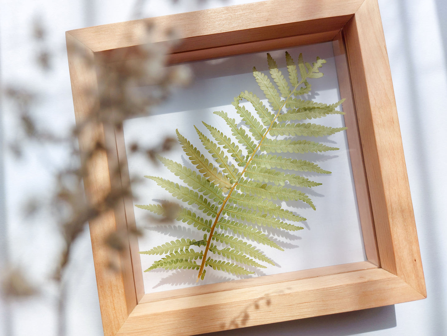 Real fern pressed leaf on plexiglass artwork with wooden square frame for Nature lover gift