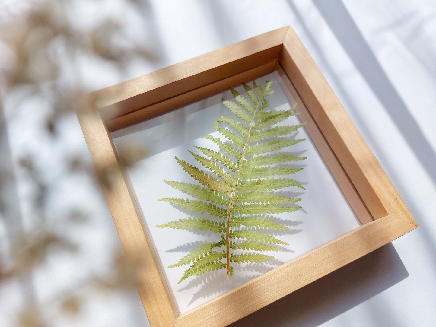 Real fern pressed leaf on plexiglass artwork with wooden square frame for Nature lover gift