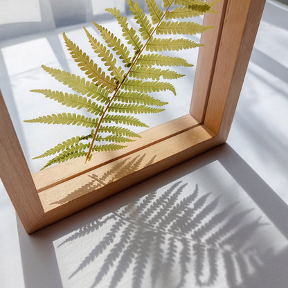 Real fern pressed leaf on plexiglass artwork with wooden square frame for Nature lover gift