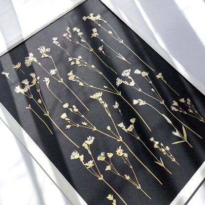 black wall decor
dried flowers
original artwork
botanical wall art
wildflower wall art
nature wall art
farmhouse wall decor
cottagecore wall art
plant lover gift
one of a kind
herbarium decor
grandmother gift
pressed flowers