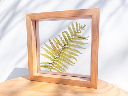 Real fern pressed leaf on plexiglass artwork with wooden square frame for Nature lover gift