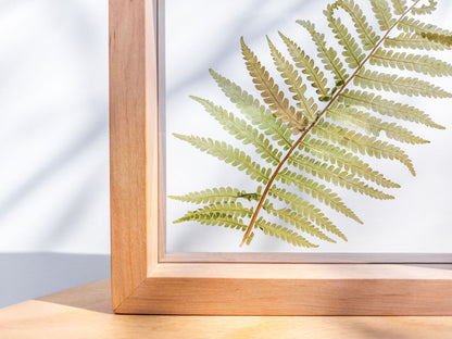 Real fern pressed leaf on plexiglass artwork with wooden square frame for Nature lover gift