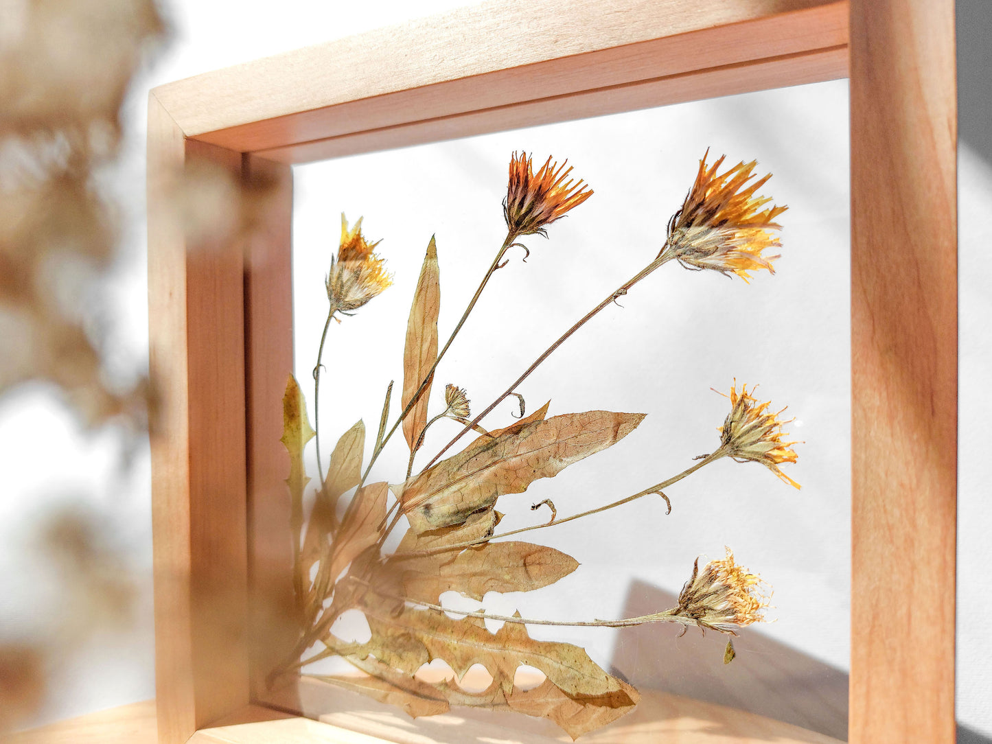 Real wild yellow pressed flower and plant artwork with wooden square frame for Nature lover gift