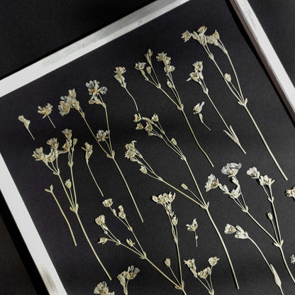 black wall decor
dried flowers
original artwork
botanical wall art
wildflower wall art
nature wall art
farmhouse wall decor
cottagecore wall art
plant lover gift
one of a kind
herbarium decor
grandmother gift
pressed flowers