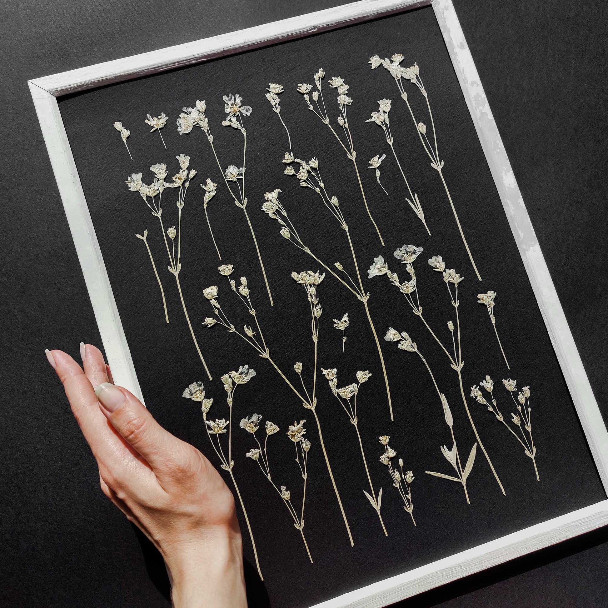 black wall decor
dried flowers
original artwork
botanical wall art
wildflower wall art
nature wall art
farmhouse wall decor
cottagecore wall art
plant lover gift
one of a kind
herbarium decor
grandmother gift
pressed flowers