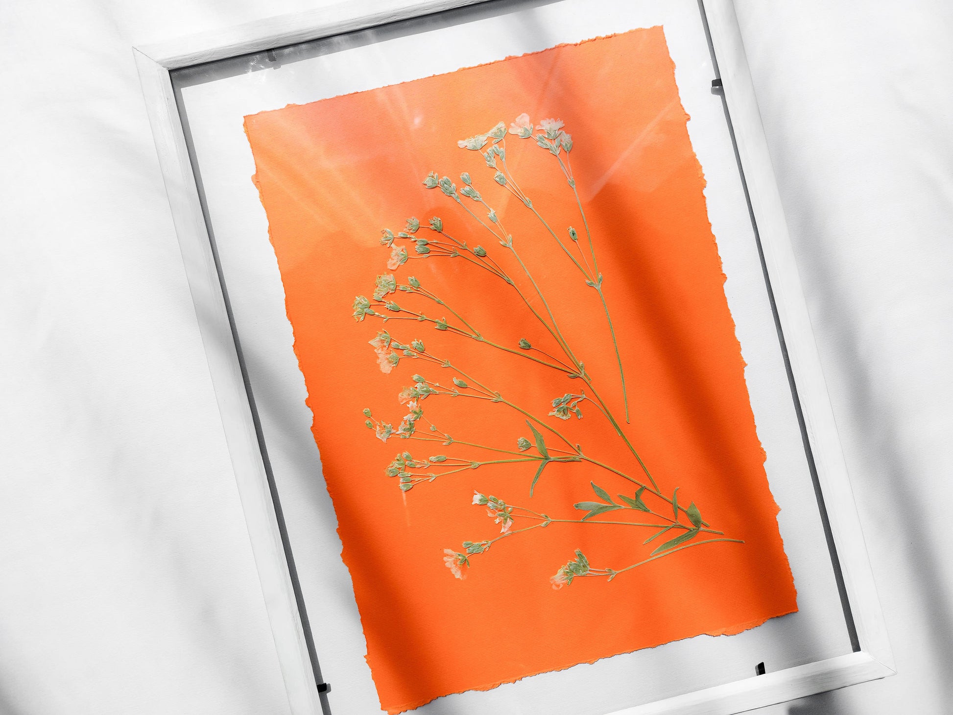 Wildflowers green and orange pressed flower and plant artwork for Nature lover gift UNFRAMED / dried flowers, original artwork, handmade art, herbarium for kitchen, living room, dining room, bedroom and new home gift