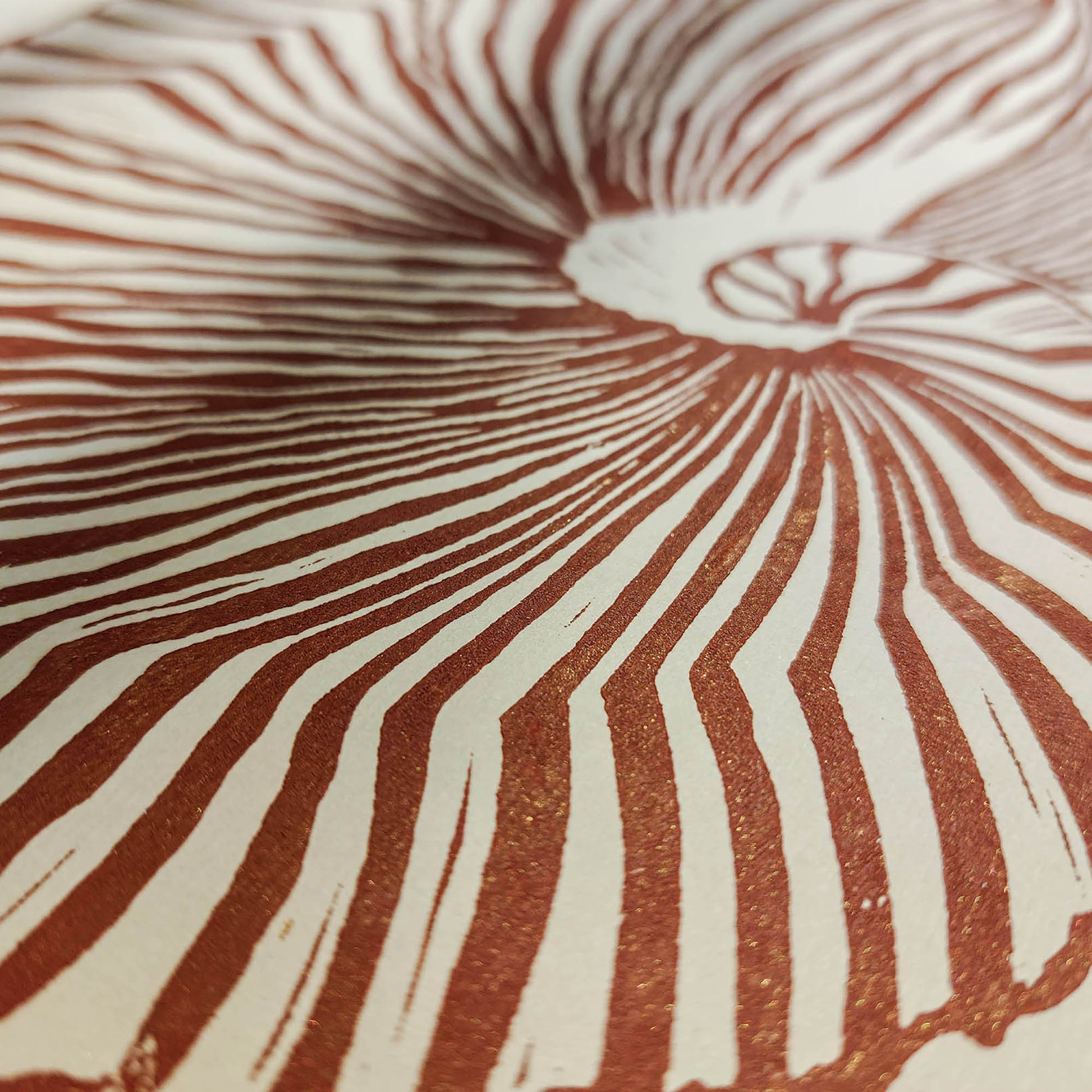 hampton decor abstract brown sea shell linocut print boho summer wall art original artwork classical style relief island luxe wall art lino maritime living linogravure Resortcore Tourist-Chic printmaking block handprint modern unique scandinavian minimalist geometric textured aesthetic moody unique wall hanging summer bathroom heirloom dorm laundry nautical above bed decor entryway decordried home office new home gift housewarming self DIY minimalism art