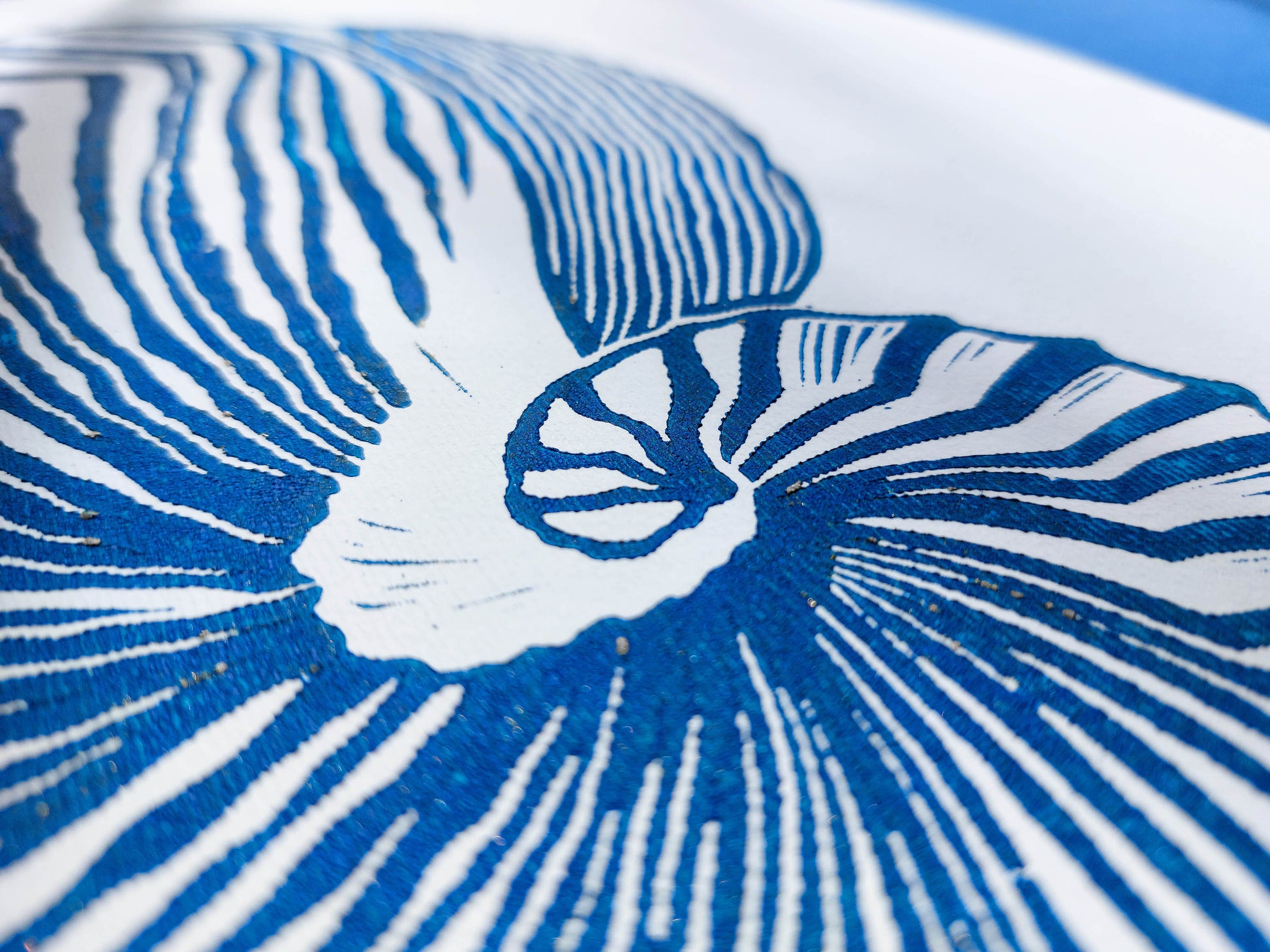 Blue and white sea shell art Linocut print / lino print / linogravure / printmaking / block print / linoleum print / relief print