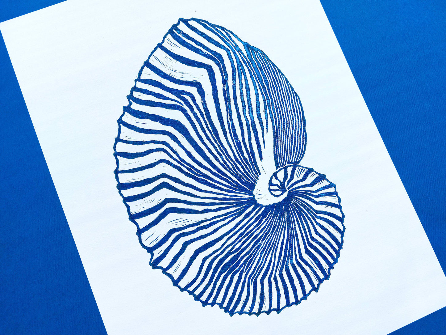 Blue sea shell art Linocut print Hampton style decor for living room, bathroom, bedroom UNFRAMED / Relief print, Nautical wall decor, Simple artwork, Coastal wall art, New apartment housewarming gift