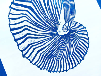 Blue and white sea shell art Linocut print / lino print / linogravure / printmaking / block print / linoleum print / relief print