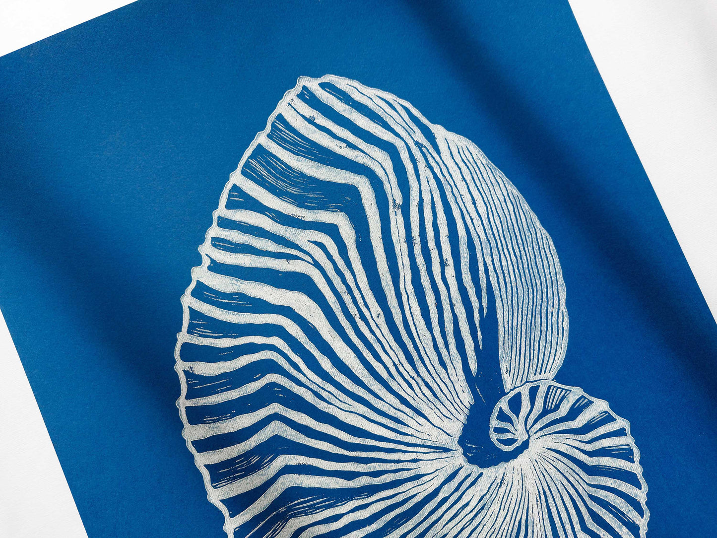 Blue and white sea shell art Linocut print / printmaking / original artwork / lino print / linogravure / relief print / block print