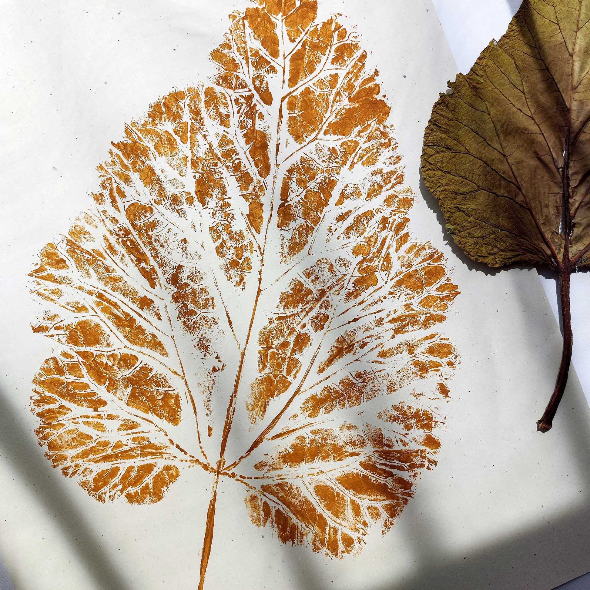 Ochre vintage textured leaf plant Monotype print Wall hanging art decor housewarming gift, new apartment gift, nature wall art, Nature original art, nature lover gift, mothers day gift ideas, mothers day gift from daughter, mothers day gift, mother in law gift, mom birthday gift, Modern kitchen art, long distance gift, living room wall art minimalist, Living room wall art, laundry room decor, kitchen wall art, Housewarming gift, hostess gift, home gift unique,heirloom gift, handmade gift for women