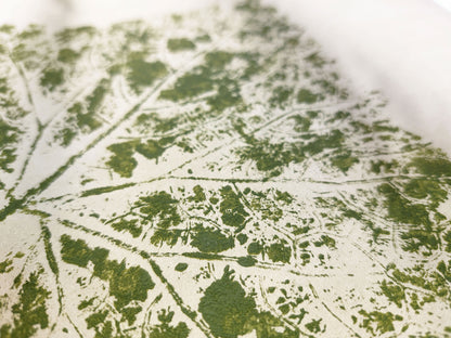Green leaf plant vintage textured Monotype print N2 for Nature lover gift UNFRAMED for modern kitchen, living room, dining room, bedroom decor / lino print, linogravure, printmaking, handmade wall art, new home gift