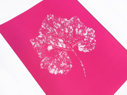 Plant Monotype Print
Large Modern Pink
White Textured Leaf
Original Artwork
Foraged Wall Art
Relief Decor
Nature Lover Gift
One of a Kind
Minimalist Art
Cottagecore Wall Art
Home Office
Printmaking Art
thank you gift boss