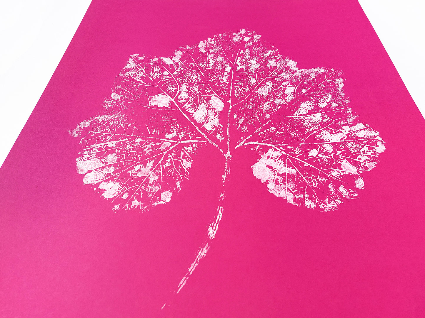 Plant Monotype Print
Large Modern Pink
White Textured Leaf
Original Artwork
Foraged Wall Art
Relief Decor
Nature Lover Gift
One of a Kind
Minimalist Art
Cottagecore Wall Art
Home Office
Printmaking Art
thank you gift boss