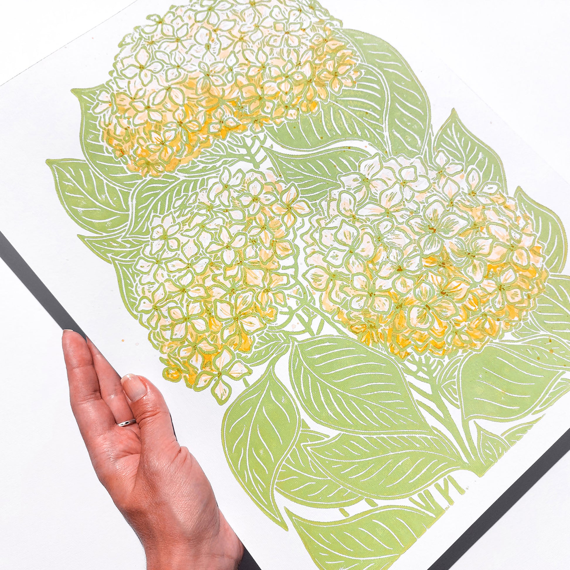 Lime cream green and yellow watercolor hydrangea flowers Linocut print Dining Room Decor, daughter in law gift, cottagecore wall art, Botanical wall art, bookshelf decor, Bedroom wall art, aunt gift, Aesthetic wall art, office wall decor