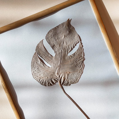 minimalist wall art
pressed flower art
monstera leaf
original artwork
modern decoration
rustic wall art
shelf decor
bedroom wall decor
home office
plant lover gift
one of a kind
herbarium decor
new mom gift