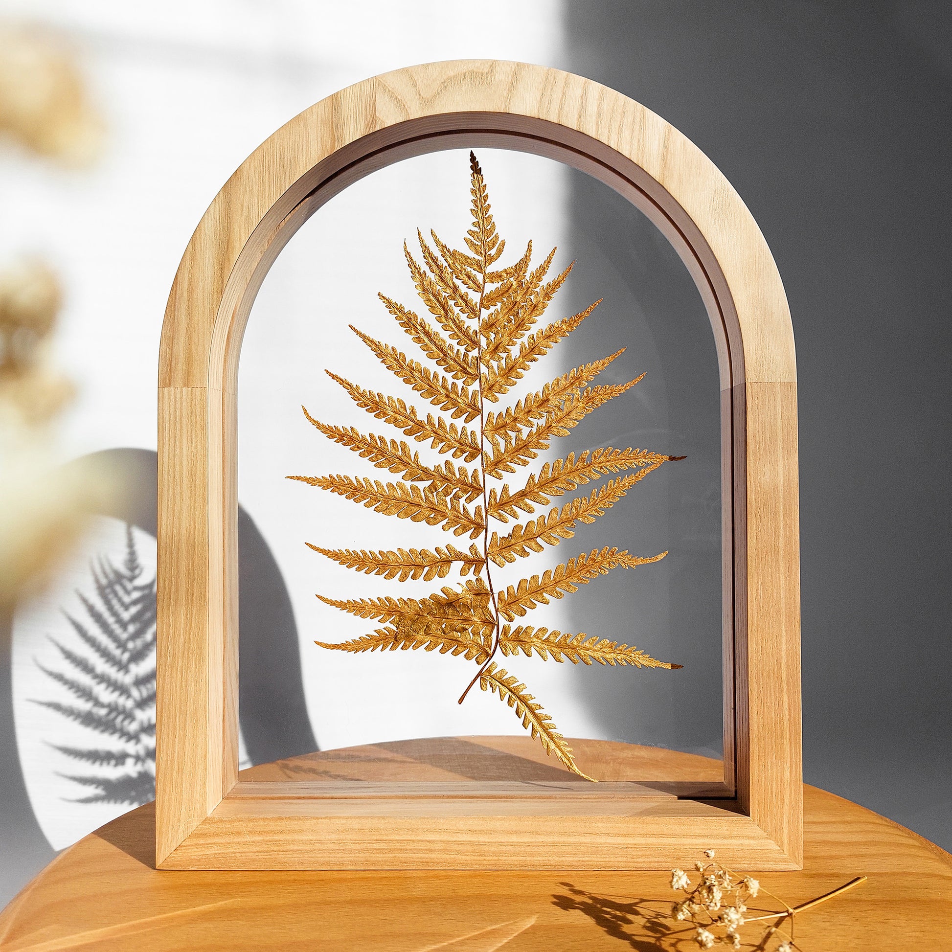 gold plant wall hanger Gold fern dried plant on Plexiglass with Wooden arch frame Wall hangin – daashart