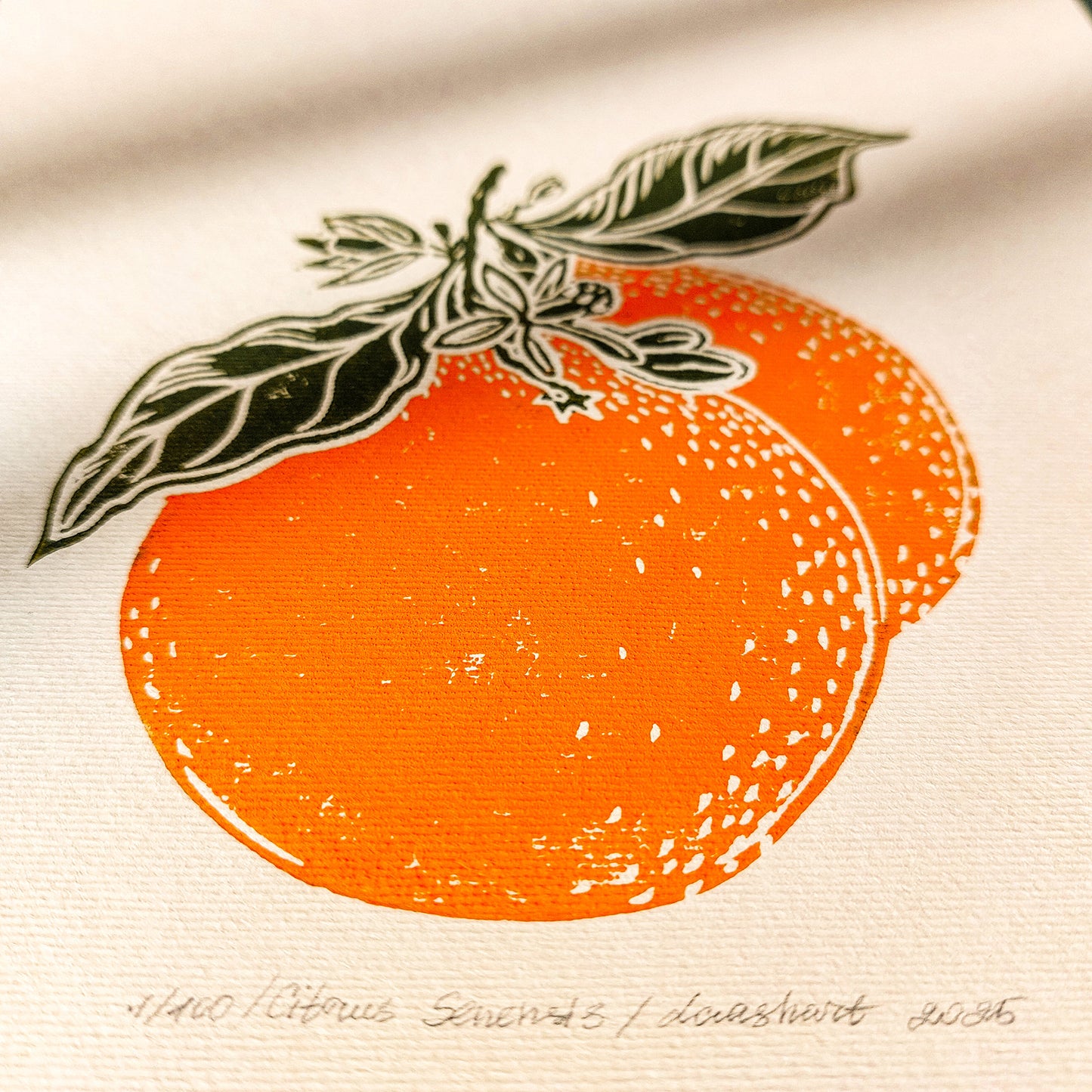 Vintage Clementine Slice Fruits Linocut Print Mini Gallery Wall Set of 2 Artwork Citrus Botanical Original Art Kitchen Cottagecore Decor
 green art, one of a kind, office wall decor, nurse gift, niece gift from aunt, new mom gift, new job gift, New home gift, new grandma gift, new apartment housewarming gift, new apartment gift, nature wall ar, nature print, Nature original art, nature lover gift, mothers day gift ideas, mothers day gift from daughter, mothers day gift, mother in law gift, mom birthday gift