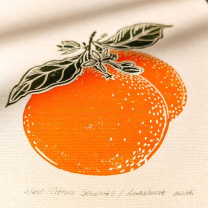 Vintage Clementine Slice Fruits Linocut Print Mini Gallery Wall Set of 2 Artwork Citrus Botanical Original Art Kitchen Cottagecore Decor
 green art, one of a kind, office wall decor, nurse gift, niece gift from aunt, new mom gift, new job gift, New home gift, new grandma gift, new apartment housewarming gift, new apartment gift, nature wall ar, nature print, Nature original art, nature lover gift, mothers day gift ideas, mothers day gift from daughter, mothers day gift, mother in law gift, mom birthday gift