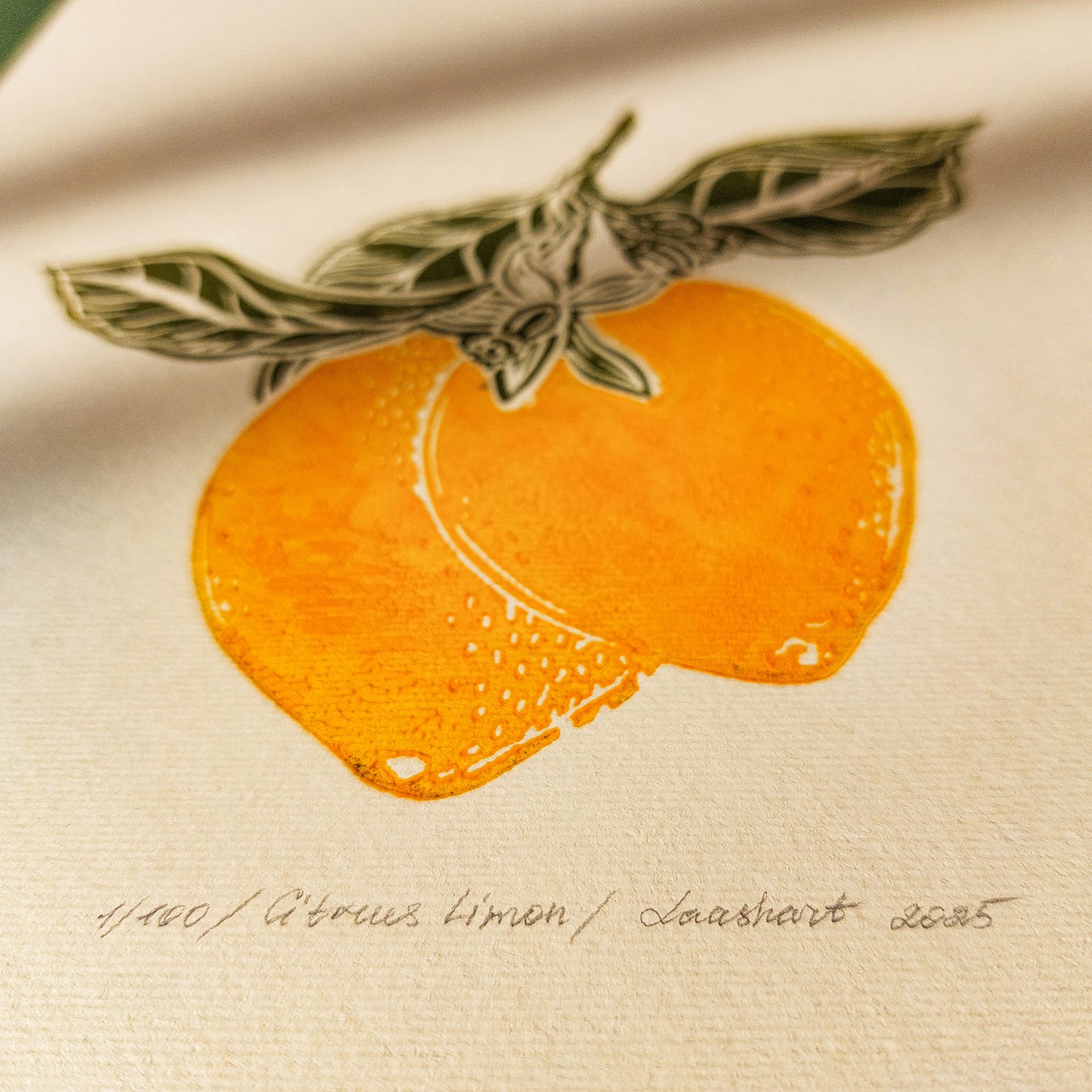 gallery wall set linocut print vintage fruits orange clementine lemon slices mandarin original artwork modern kitchen botanical dining room decor citrus above bed decor set of 7 cottagecore lino nature lover linogravure christmas new home thoughtful autumn summer yellow sage green plant office grandmother housewarming bedroom living room relief thanksgiving table teacher new apartment handprinted entryway farmhouse mom wife girlfriend sister godmother Thank You Coworker Say Thanks Present