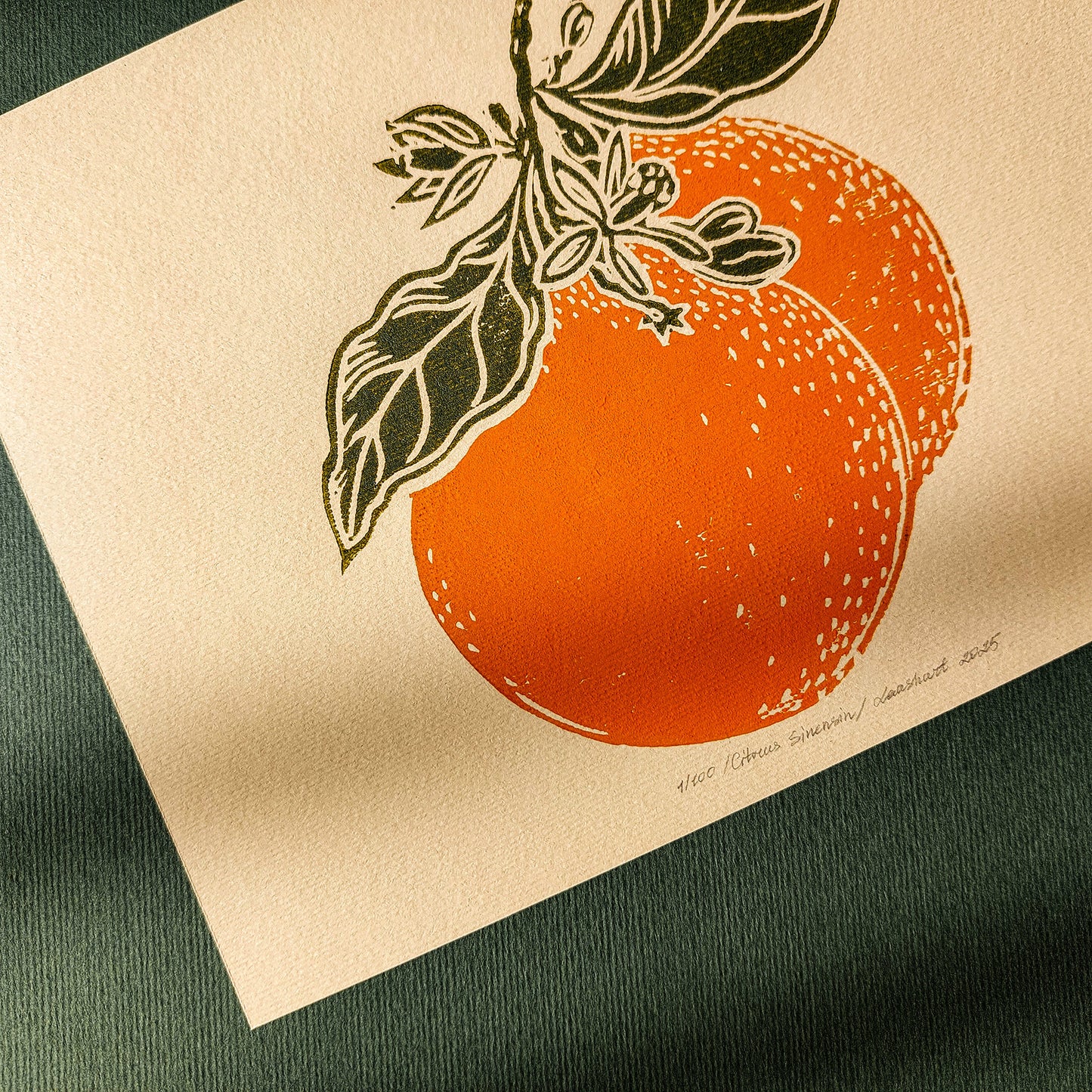 Vintage Clementine Slice Fruits Linocut Print Mini Gallery Wall Set of 2 Artwork Citrus Botanical Original Art Kitchen Cottagecore Decor 
 grandmother gift, grandma gift, going away gift for coworker, godparent gift, godmother gift, girlfriend gift, gift for the home, gift for best friend female, Fruit wall art, foraged wall art, Floral wall art, Farmhouse wall decor, Farmhouse wall art, farm kitchen wall art, farm decor, laundry, easter gift, dorm room decor, diy gift, Dining Room Decor, Dining room art